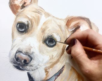 Custom pet portrait, dog, dog portrait, cat portrait, custom pet painting, animal painting, dog cat watercolor, watercolour, dog portrait