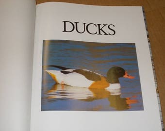 Vintage Waterfowl Book "Ducks" Beautifully illustrated.
