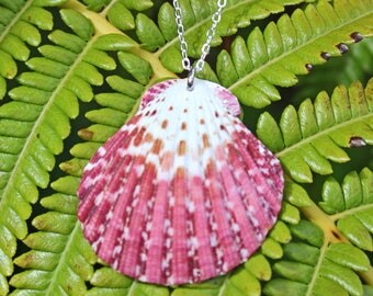Shell Necklace - Scallop Shell Necklace, Sea shell Necklace, Shell Necklace, Surfer Necklace, Hawaii