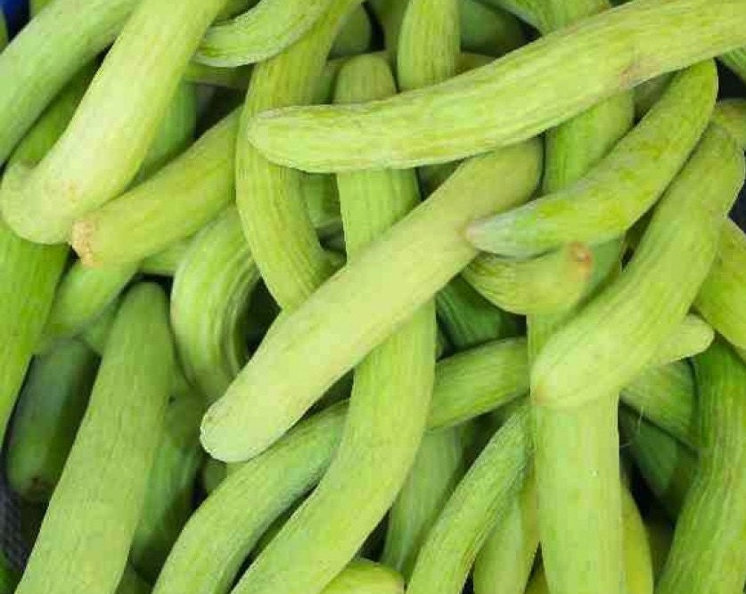 heirloom Long Melon vegetable seeds Kakdi