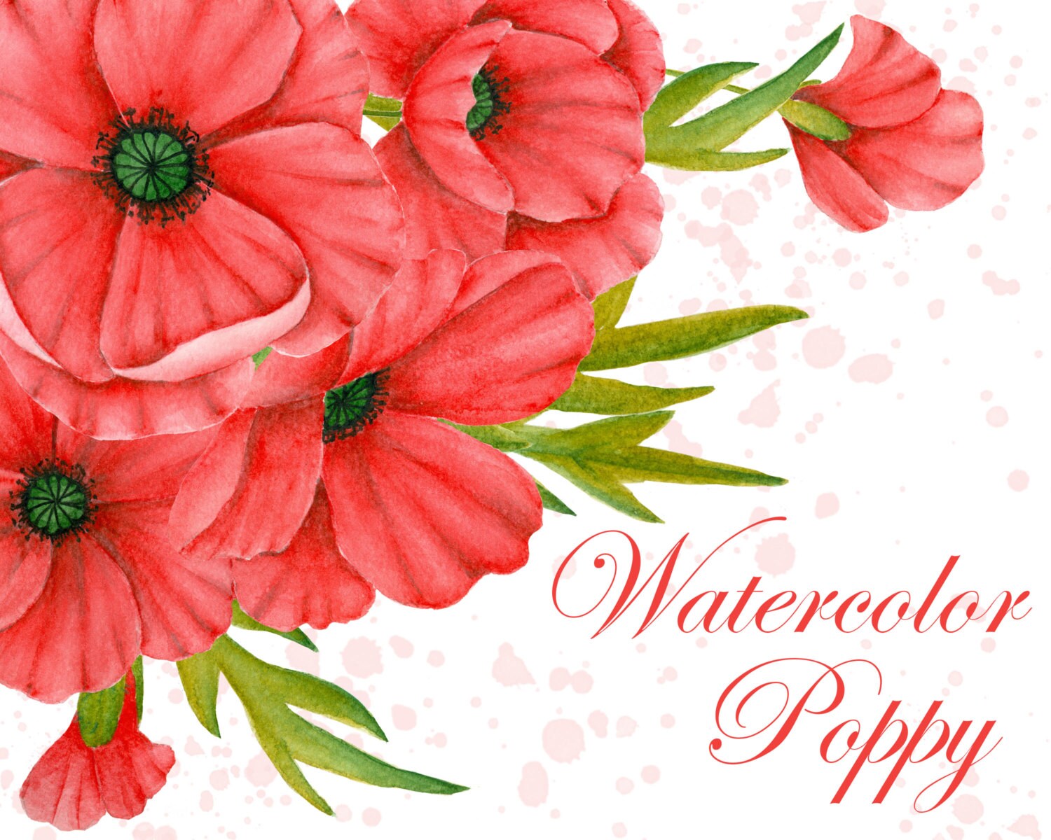 Download Watercolor poppy clipart Red poppies clipart Red flowers