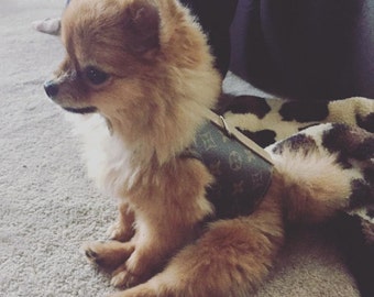 The Louis V: Louis Vuitton Pet Harness