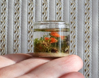 Dollhouse Miniature aquarium, goldfish aquarium, 1:12 scale, scale Miniature, scale one inch, aquarium for dollhouses,