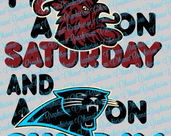 I'm A Gamecock on Saturday and a Panthers on Sunday SVG