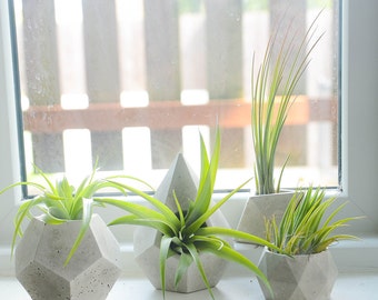 Concrete Geometric Air Plant Holders, Natural Air Plant Display, Concrete Planters, Low Shipping, Geometrical Decor, Wedding Favors!
