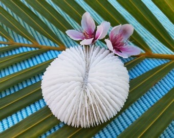 Plate Coral | Natural Bleached Coral | White Coral | Sea Decoration | Beach Decor | Bungalow Decor