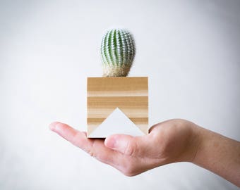 White Geometrical Planter, FREE SHIPPING, Succulent Planter, Cactus Planter, Home Decor, Shelf Decor, Desk Decor, Gift for Her, Wood Planter