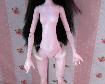 Monster High OOAK repaint custom handmade Draculaura doll