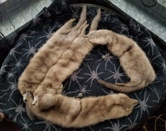 Vintage 1940's Mink Fur Stole, Gray Glow, 56 Inch, Four Full Bodies