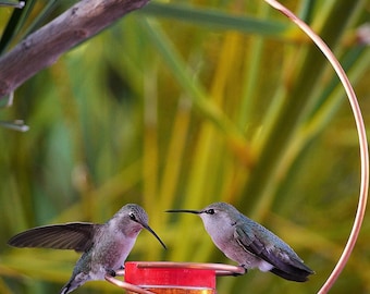 Bee-Proof Drip-Free Copper Hummingbird Feeder II