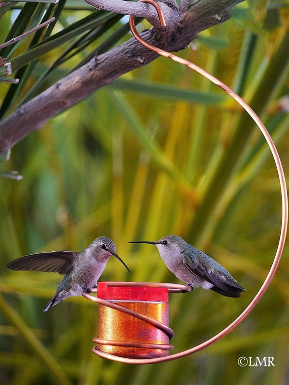 BeeProof DripFree Copper Hummingbird Feeder II