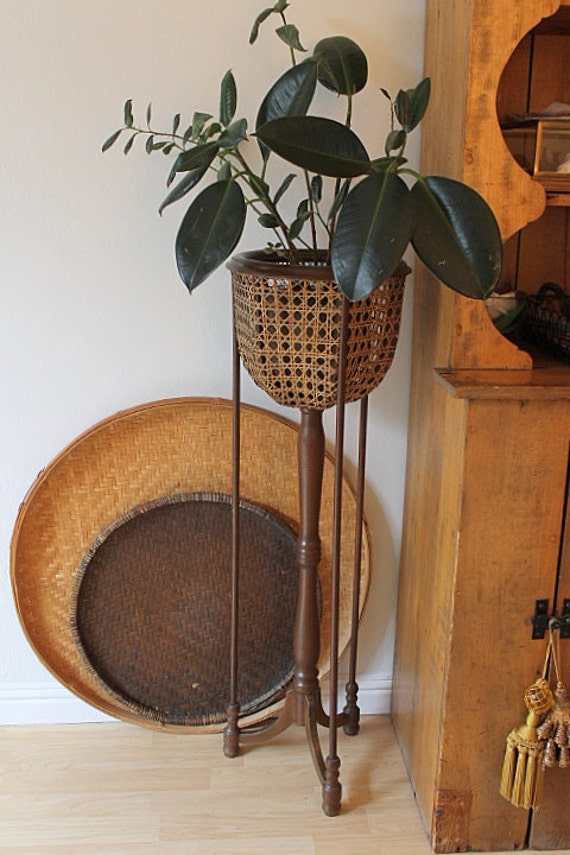 Vintage Cane and Wood Plant Stand