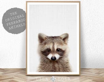 Raccoon Print, Baby Animal, Woodland Animals Wall Art, Nursery Decor, Baby Shower, Digital Download, Large Printable Poster, Forest Animals