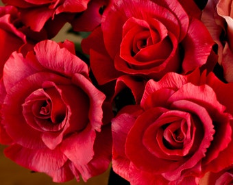 LARGE Real Touch Red Roses, Wedding Centerpiece/Home Decor/Gift Artificial Flowers/Floral Arrangement/Gift for her/Beauty and the Beast Rose