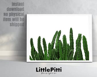 Cactus photo print, aztec decor, botanical print, succulent print, desert photography, western print, printable cactus, printable download