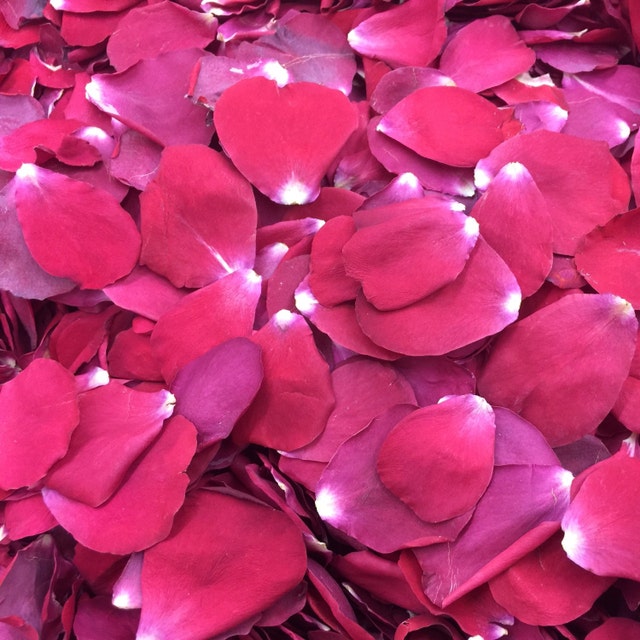 Real Rose Petals. Wedding Petals. Flower by FarmGirlRosePetals