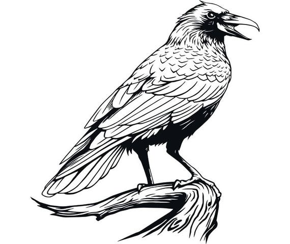 Download Raven Bird Wing Feather Animal Tree Branch.SVG .EPS .PNG ...