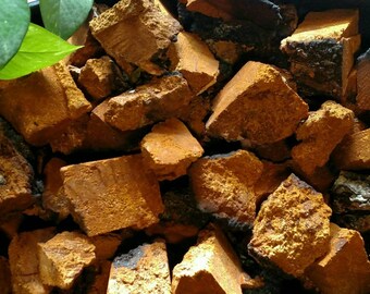 Dried Chaga Mushroom