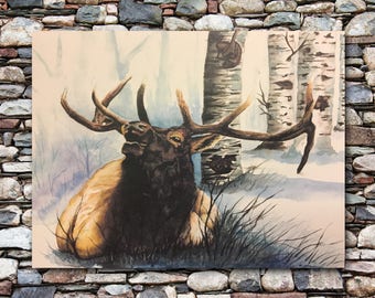 Rocky Mountain Elk watercolor print. Elk painting. Elk wall