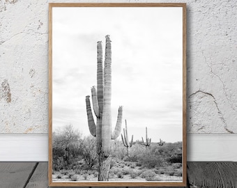 Aztec style home decor Aztec style home decor
