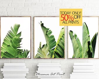 Banana Leaf Print, Banana Leaves Print, Set of 3 Print, Coastal Wall Art, Set of 3 Wall Art, Succulent Print, Banana Leaves Photography