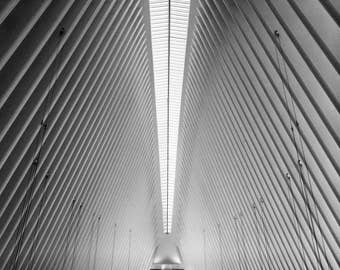 The Oculus