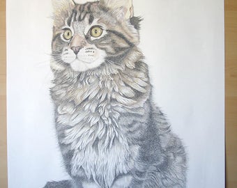 Items similar to Hipster Cat Pencil Drawing on Etsy