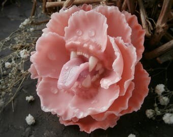 Predatory peony. Brooch peony. Delicate flower