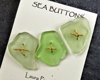 Set of three double drilled natural glowing sea foam green sea glass buttons from Maine for fiber artists and jewelry craft