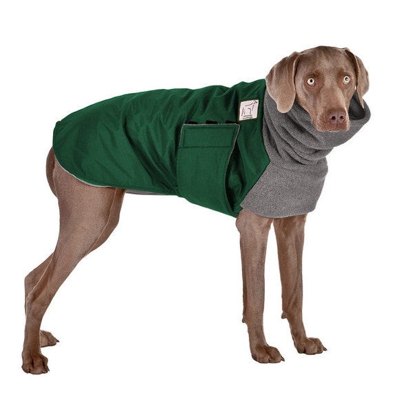 WEIMARANER Winter Dog Coat Dog Coat Winter Coat Dog