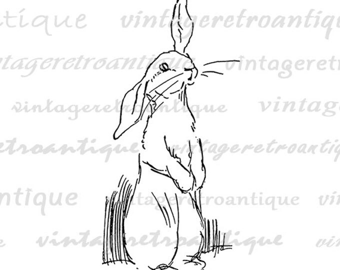 Printable Bunny Clipart Cute Bunny Art Nursery Animals Rabbit Digital Image Download Graphic Image Artwork Jpg Png Eps HQ 300dpi No.2848