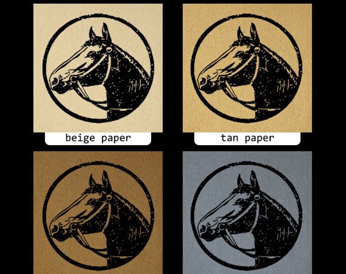 Digital Printable Horse Illustration Digital Horse Graphic Horse Head Image Farm Animal Western Art Download Jpg Png Eps HQ 300dpi No.1105