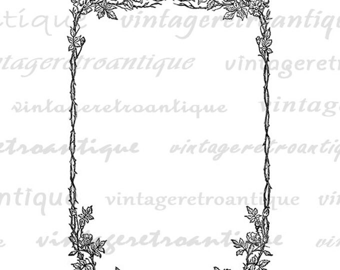 Printable Graphic Vine Leaf Frame Image Ornament Design Download Digital Antique Clip Art Jpg Png Eps HQ 300dpi No.4084