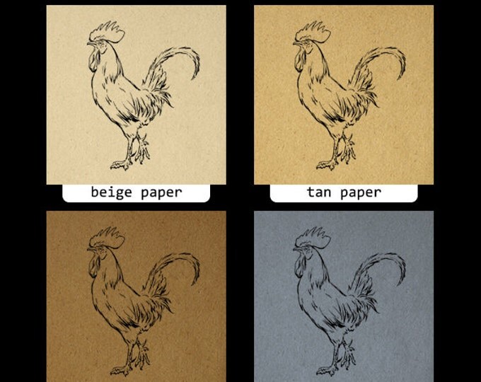 Rooster Printable Graphic Download Chicken Image Illustration Digital Jpg Png Eps HQ 300dpi No.3850