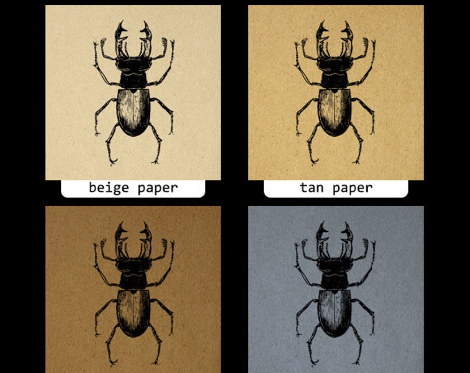 Printable Digital Stag Beetle Graphic Insect Bug Download Image Vintage Clip Art Jpg Png Eps HQ 300dpi No.3263