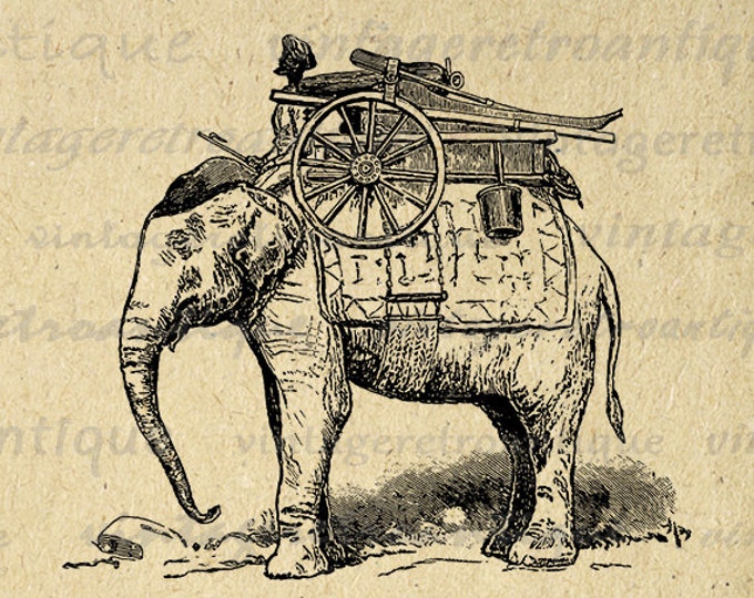 Digital Printable Elephant with Rider Graphic Image Illustration Download Antique Clip Art Jpg Png Eps HQ 300dpi No.3548