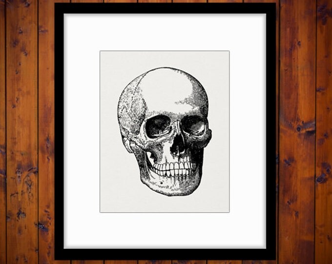 Printable Digital Skull Download Illustration Graphic Image Vintage Clip Art Jpg Png Eps HQ 300dpi No.3169