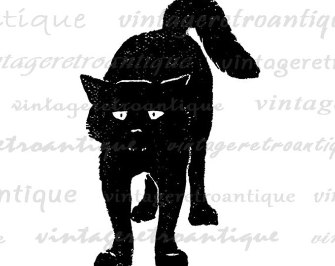 Digital Graphic Black Cat Download Kitten Image Halloween Printable Vintage Clip Art Jpg Png Eps HQ 300dpi No.063