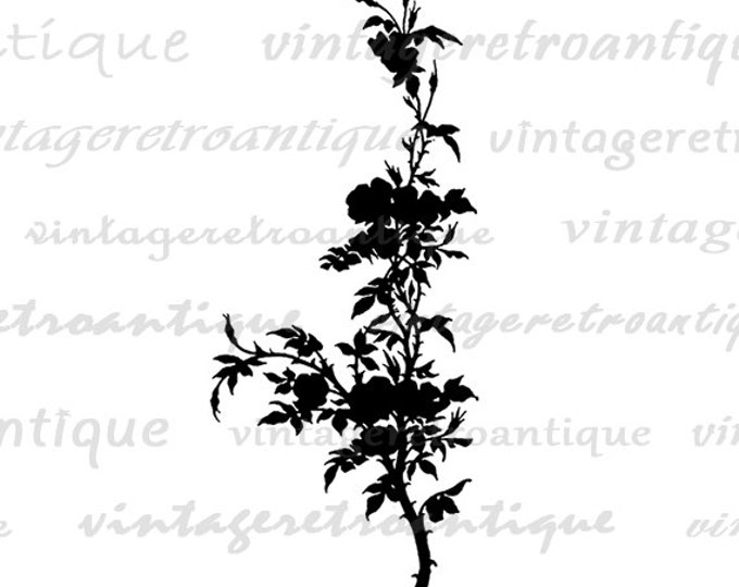 Flower Plant Silhouette Digital Image Download Graphic Printable Vintage Clip Art Jpg Png Eps HQ 300dpi No.3603