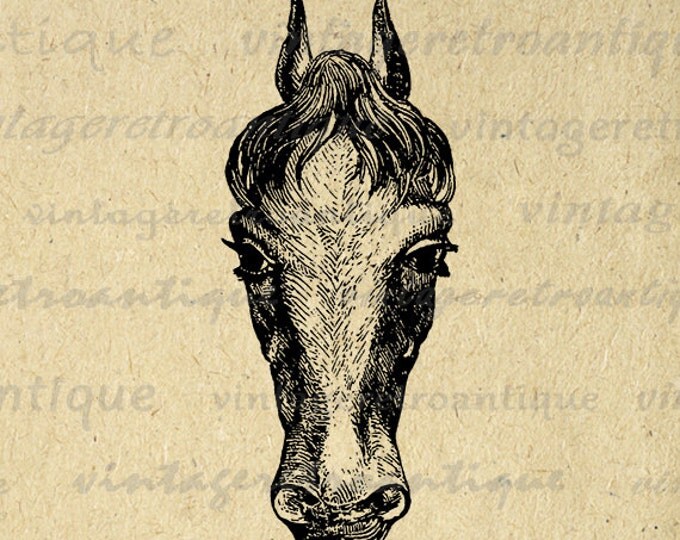 Digital Graphic Horse Head Printable Download Illustrated Image Artwork Vintage Clip Art Jpg Png Eps HQ 300dpi No.2296