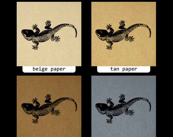 Printable Graphic Gecko Lizard Download Image Digital Illustration Jpg Png Eps HQ 300dpi No.2736