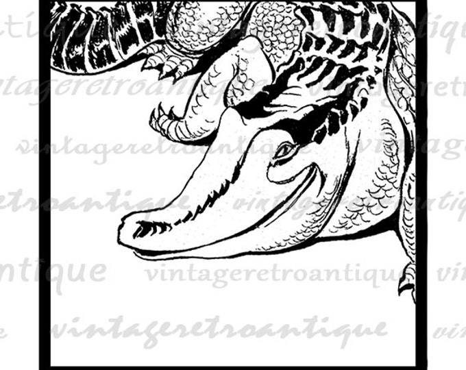 Crocodile Graphic Image Printable Digital Download Artwork for Transfers Tote Bags Tea Towels etc HQ 300dpi No.1909