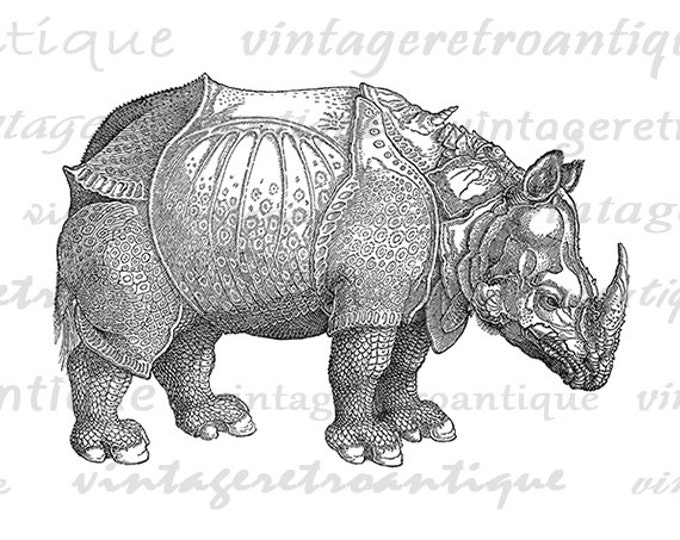 Rhinoceros Printable Graphic Digital Rhino Image Download Artwork Antique Clip Art Jpg Png Eps HQ 300dpi No.2118