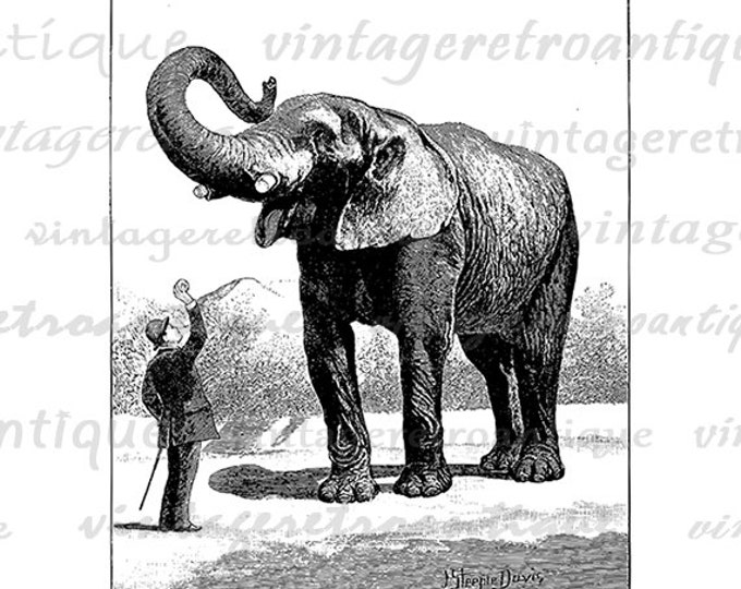 Digital Elephant Graphic Image Antique Download Printable Vintage Clip Art Jpg Png Eps HQ 300dpi No.772