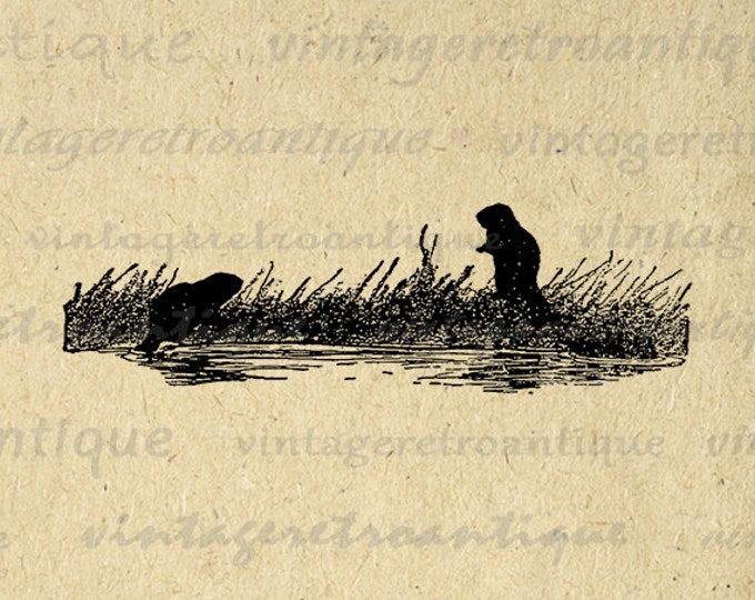 Digital Beaver Silhouettes Antique Graphic Printable Download Image Vintage Clip Art Jpg Png Eps HQ 300dpi No.482