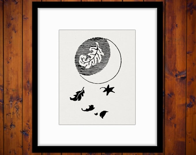 Printable Image Moon and Leaves Graphic Illustration Digital Download Vintage Clip Art Jpg Png Eps HQ 300dpi No.910