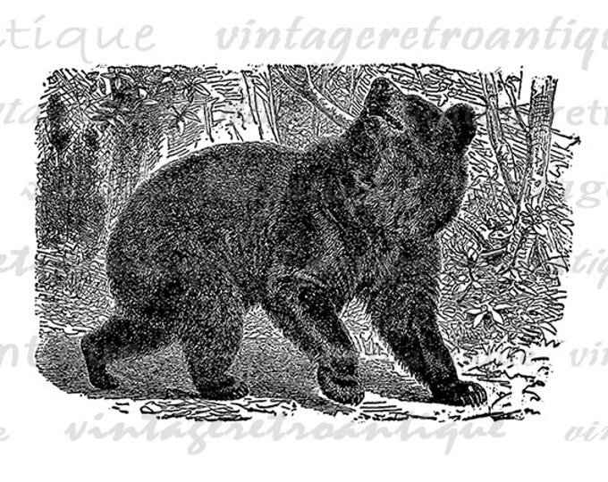 Digital Graphic Black Bear Image Printable Download Artwork Antique Clip Art Jpg Png Eps HQ 300dpi No.2645