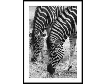Zebra Wall Art zebra wall art | etsy Zebra Wall Art zebra wall art | etsy