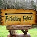 Harry Potter fantasy sign FORBIDDEN FOREST handmade on knurly