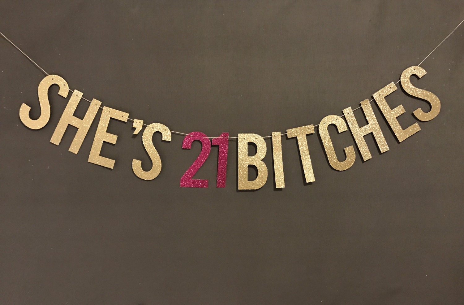 she-s-21-bitches-banner-21st-birthday-party-banner